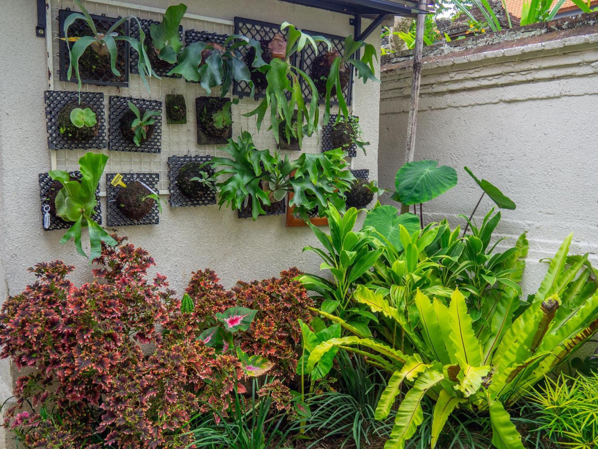 Arumasta Ubud ภายนอก รูปภาพ